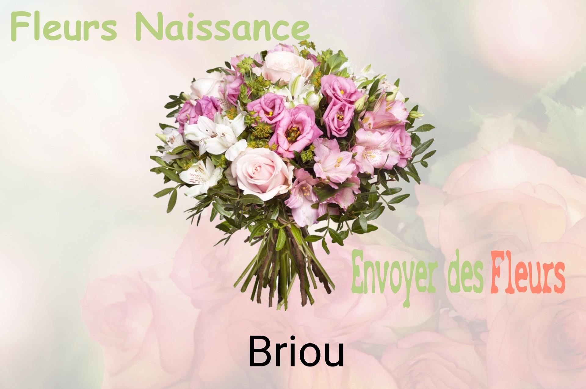 Bouquet de fleurs de naissance livré à Briou