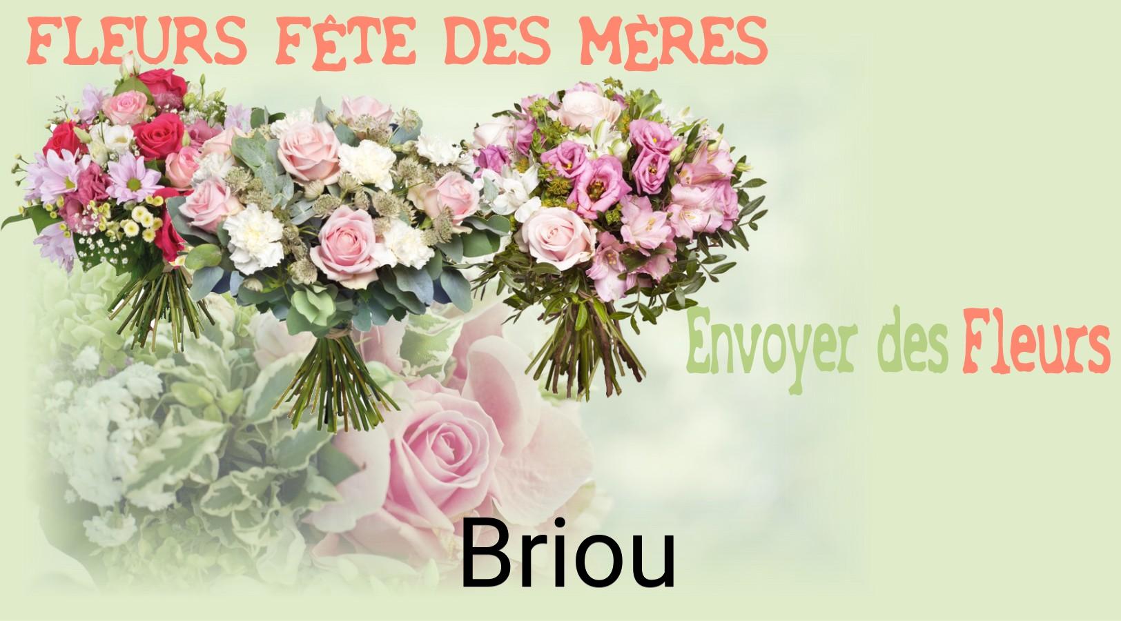 Bouquet de Fête des Mères livré à Briou